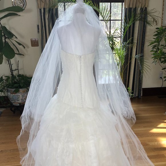 White by Vera Wang Strapless Ivory Fit&Flare Wedding Gown &Cathedral Length Veil - Picture 3 of 13